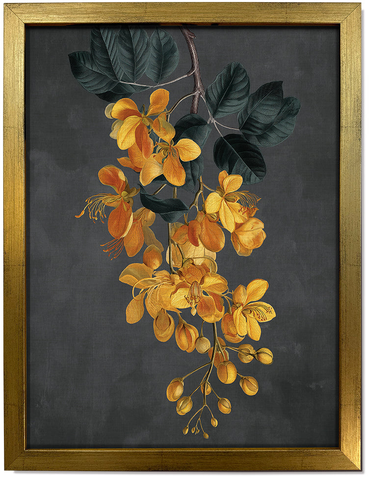 Amaltas
