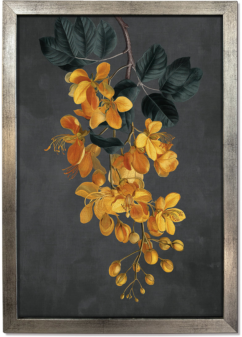 Amaltas