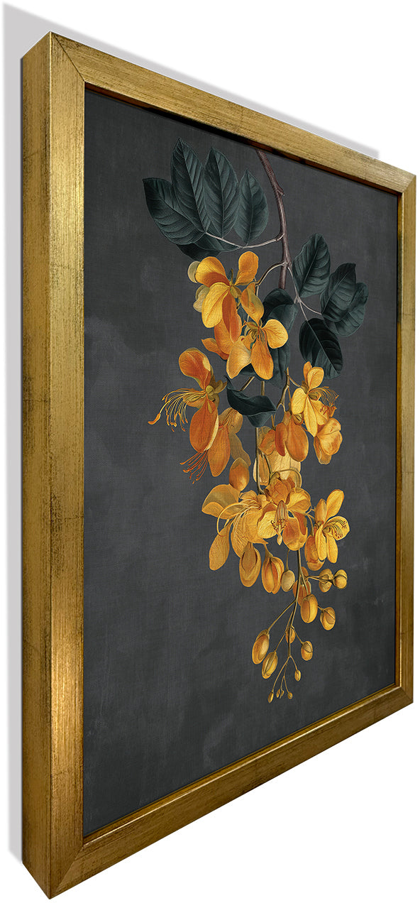 Amaltas