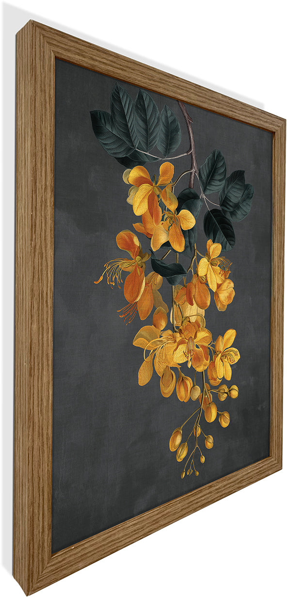 Amaltas