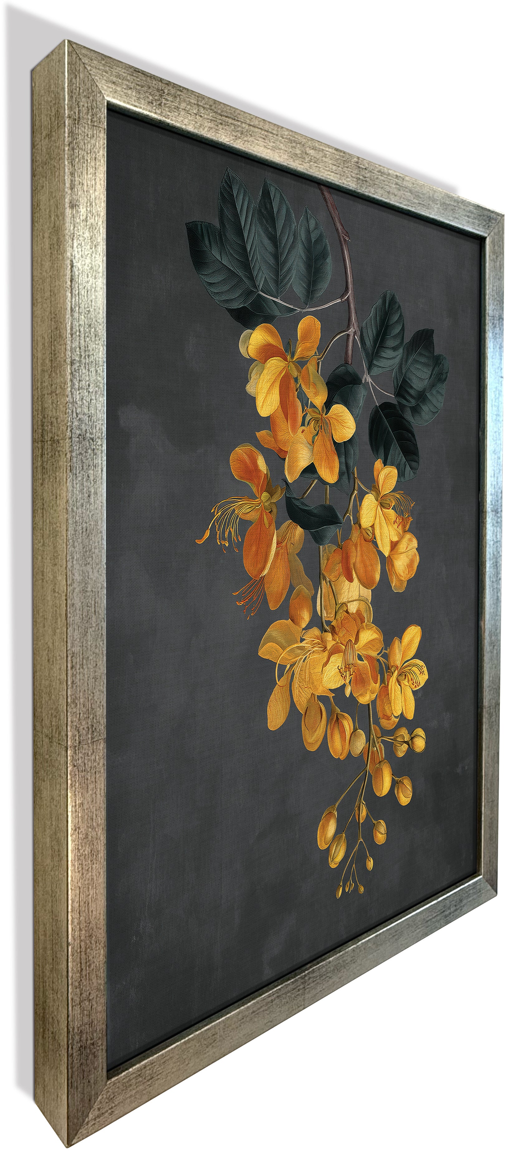 Amaltas