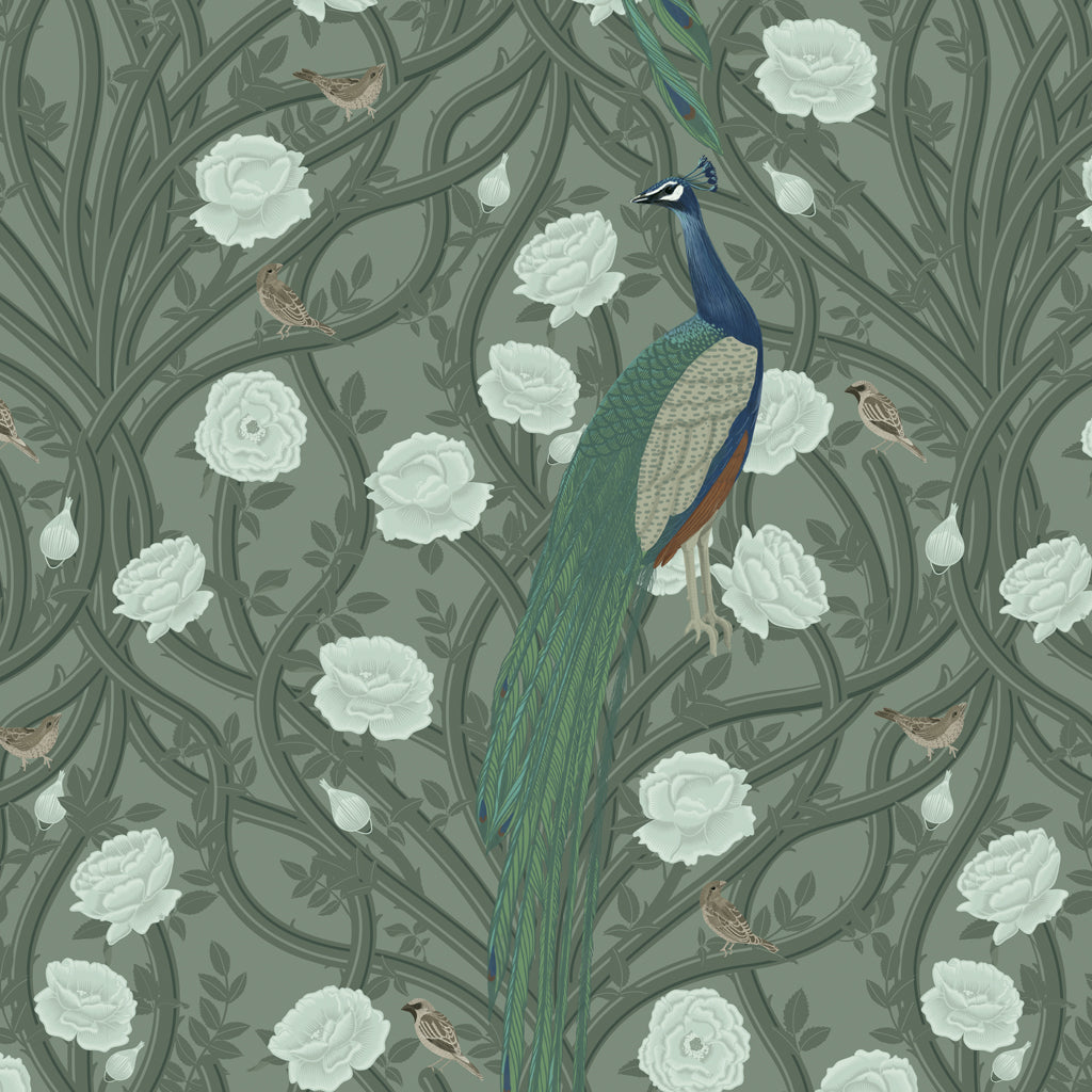 Aravalli-Fresco Green