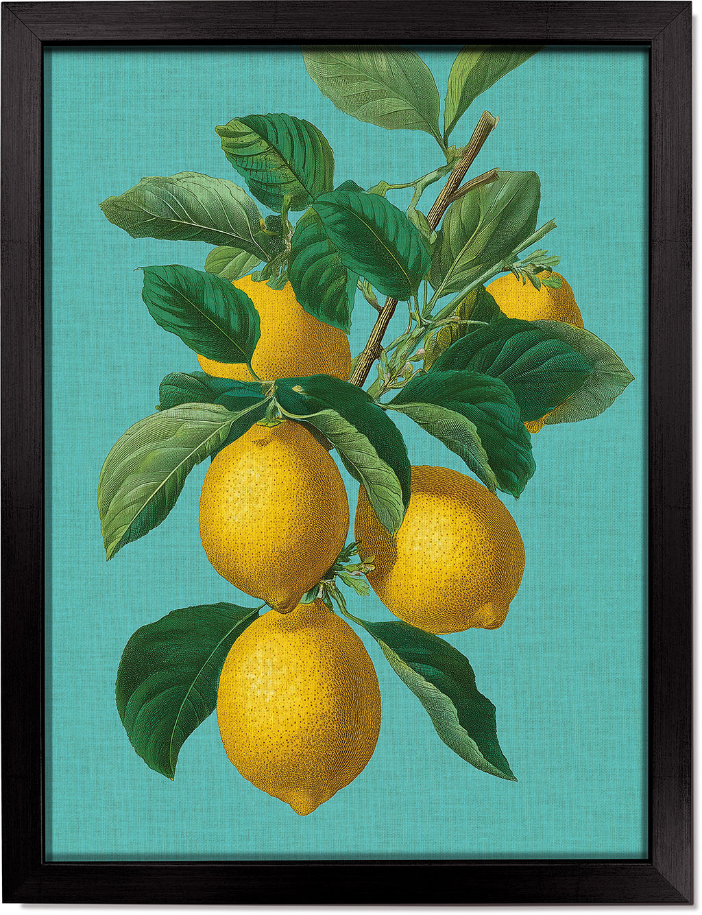 Botanical Lemons