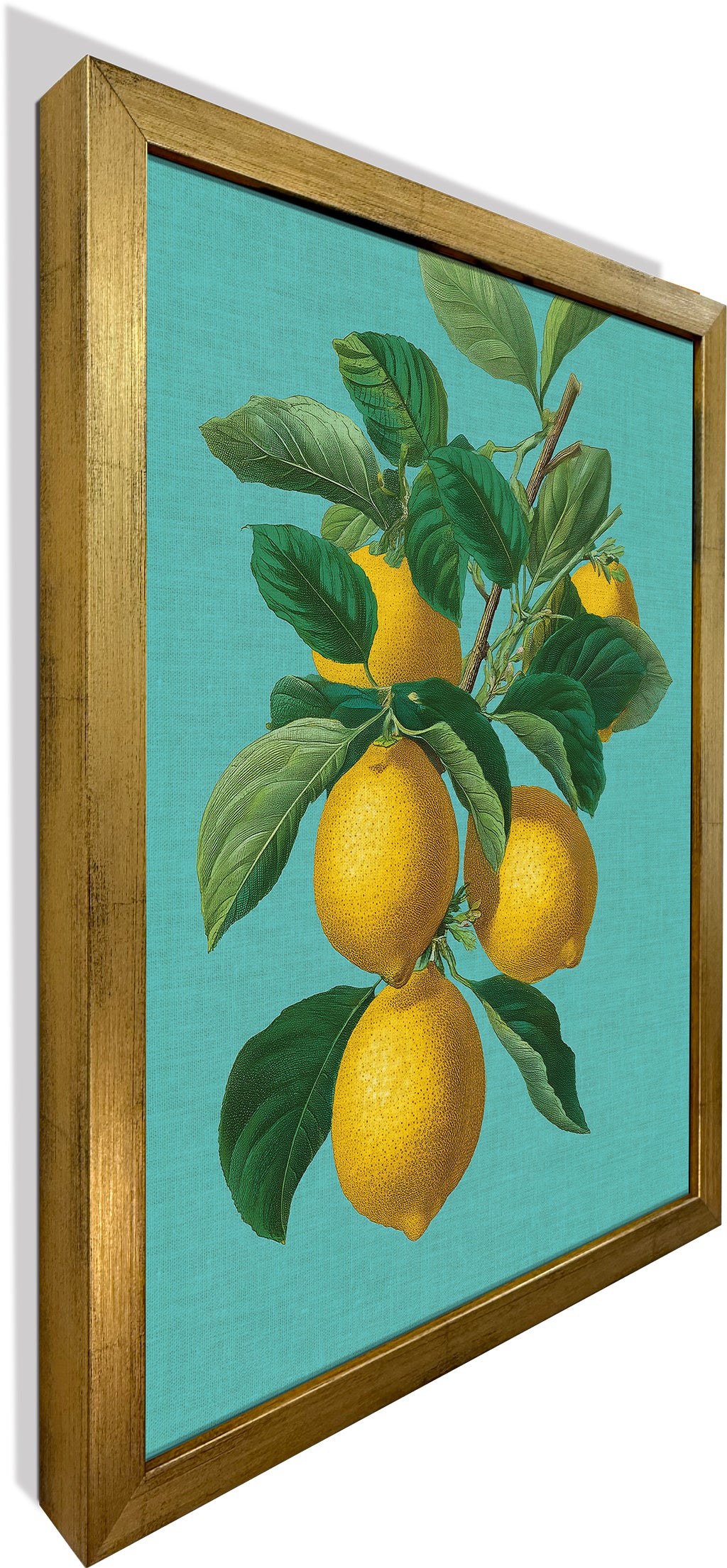 Botanical Lemons
