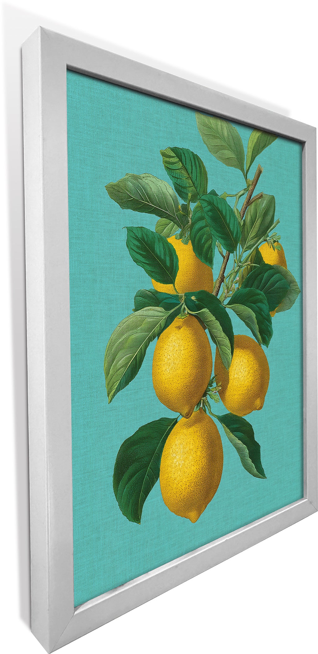 Botanical Lemons