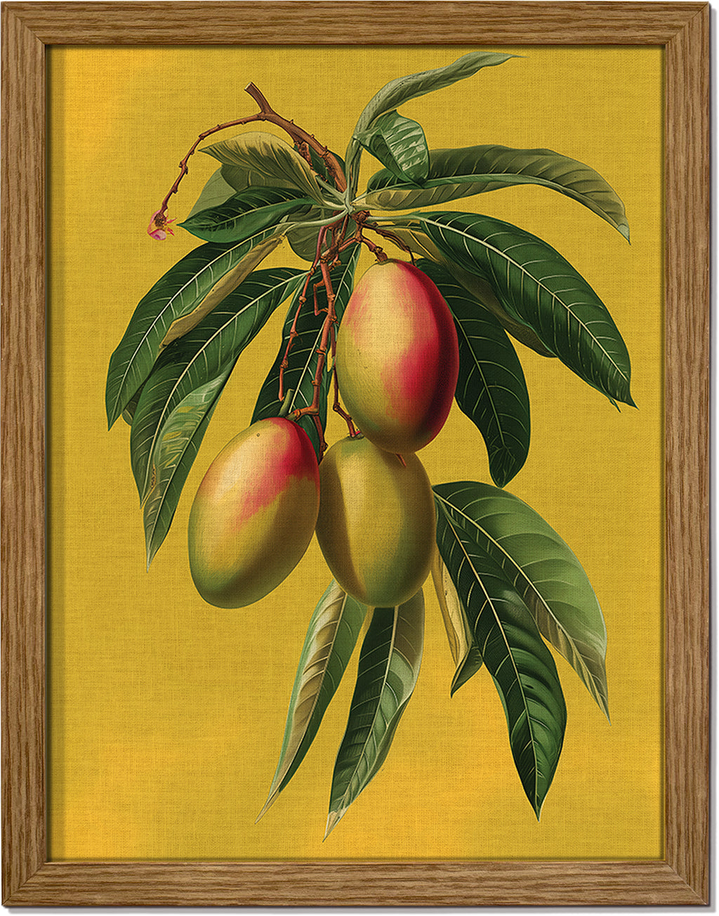 Botanical Mangoes