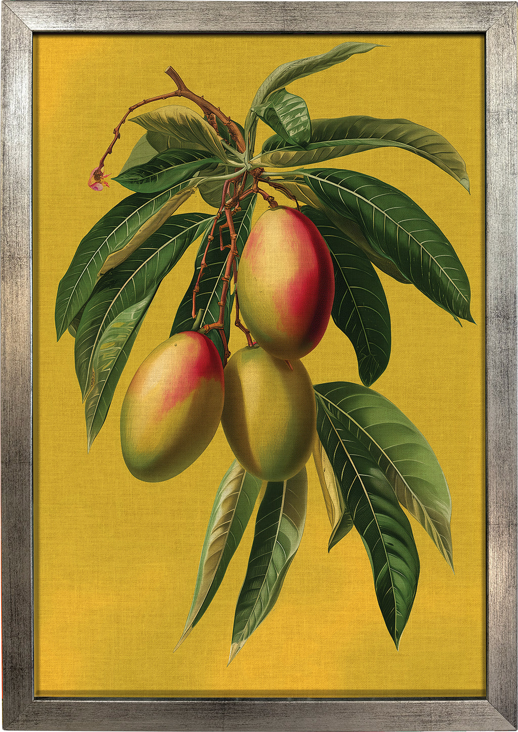 Botanical Mangoes