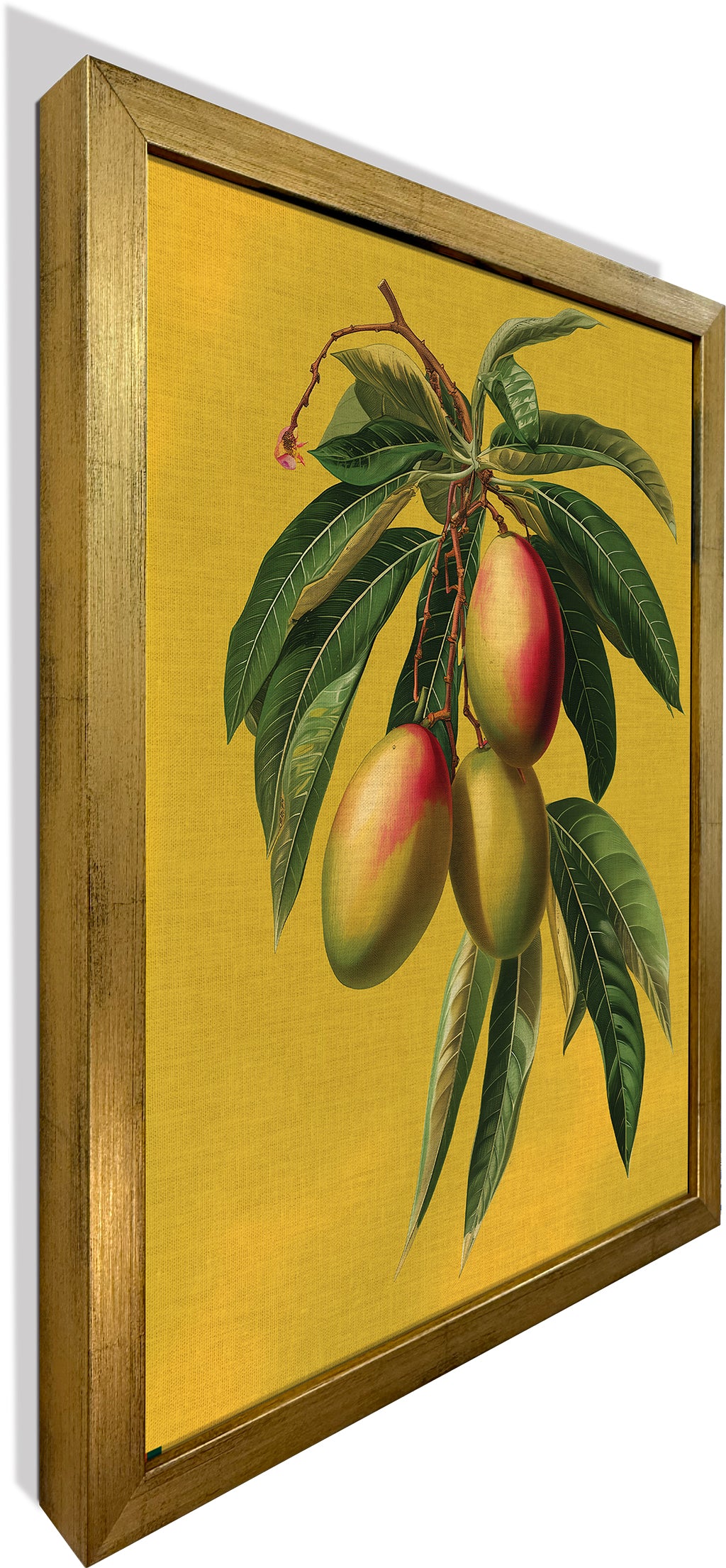 Botanical Mangoes