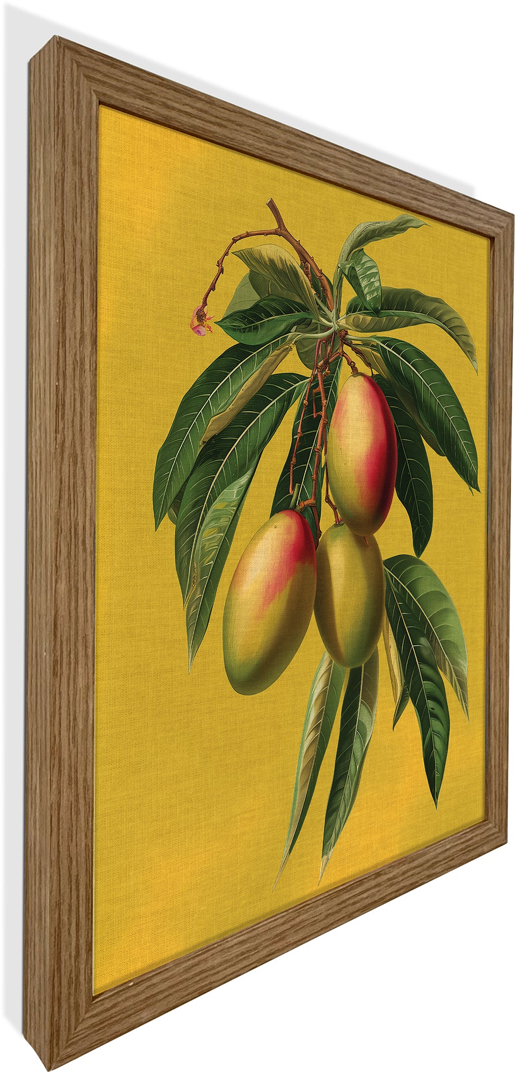 Botanical Mangoes
