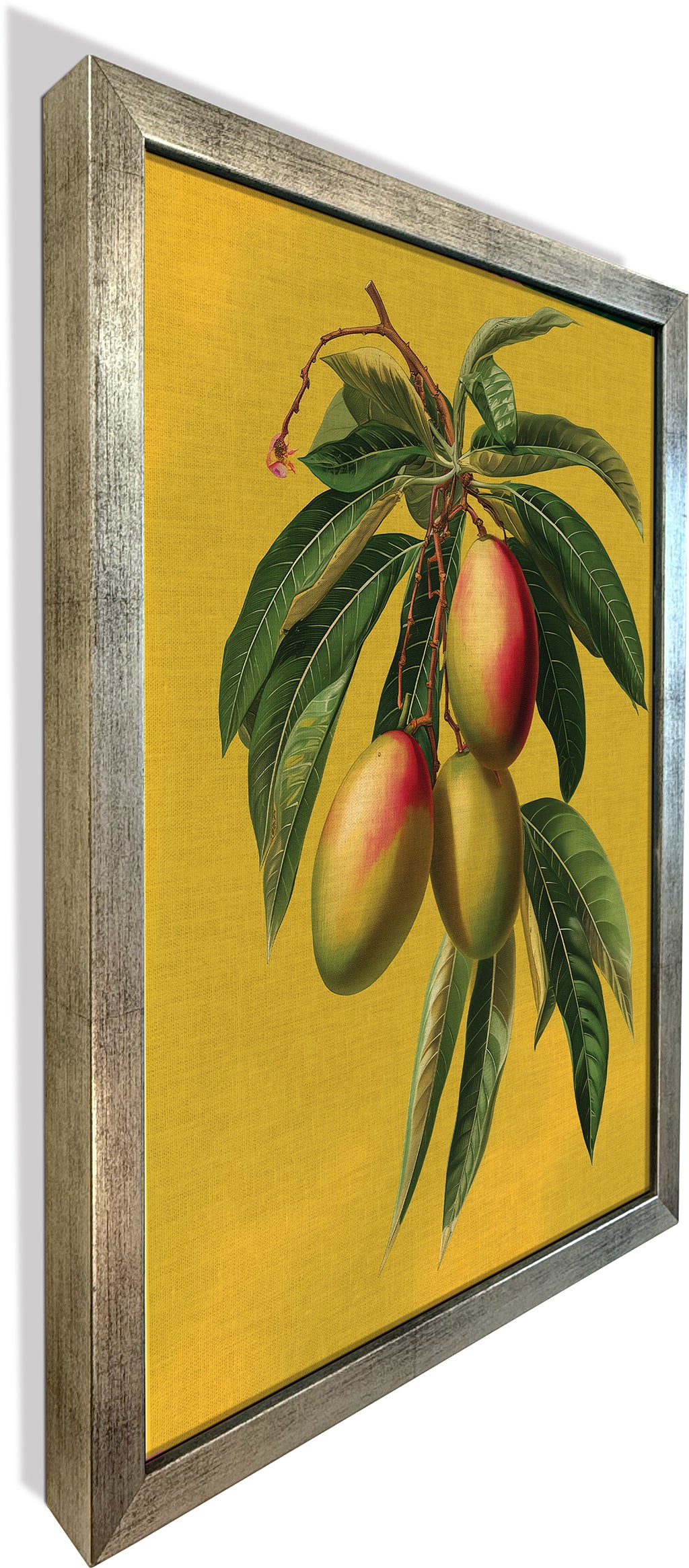 Botanical Mangoes