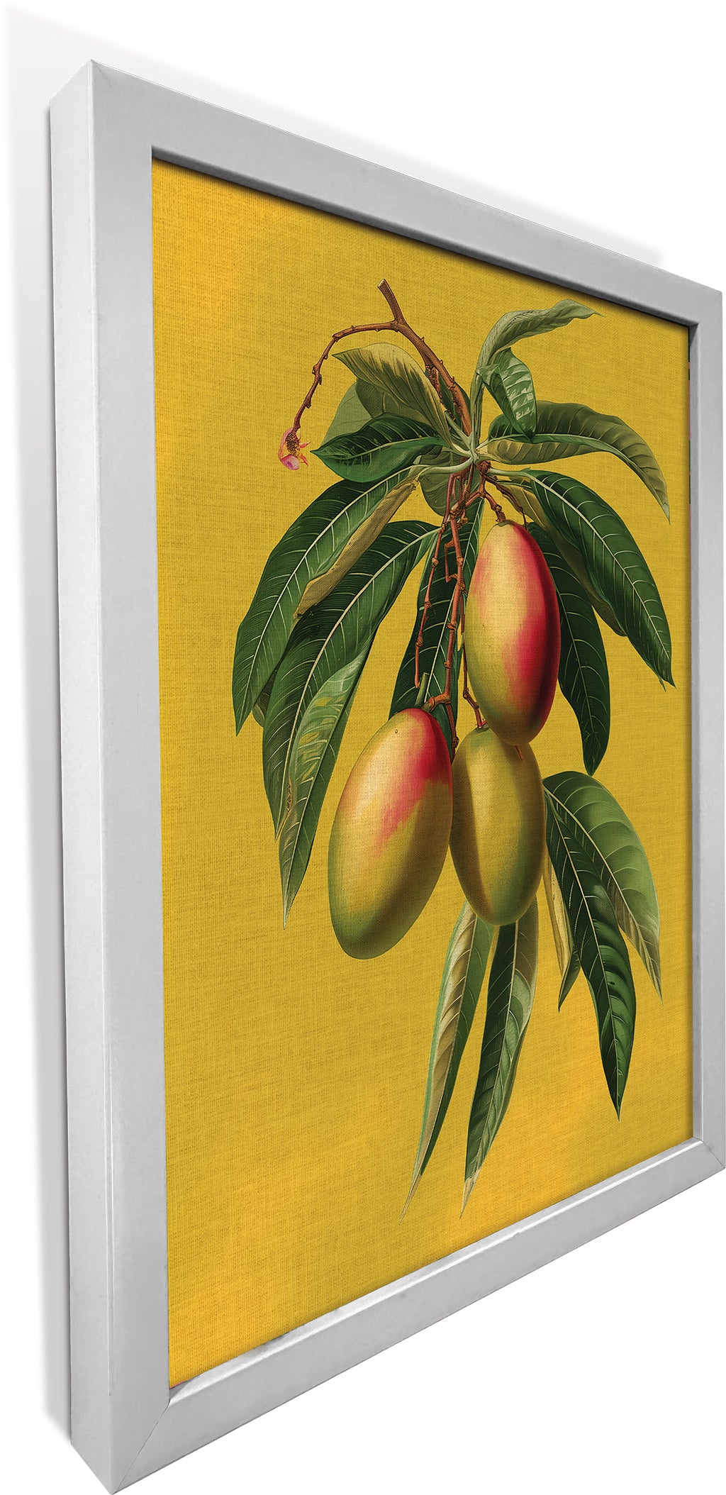 Botanical Mangoes