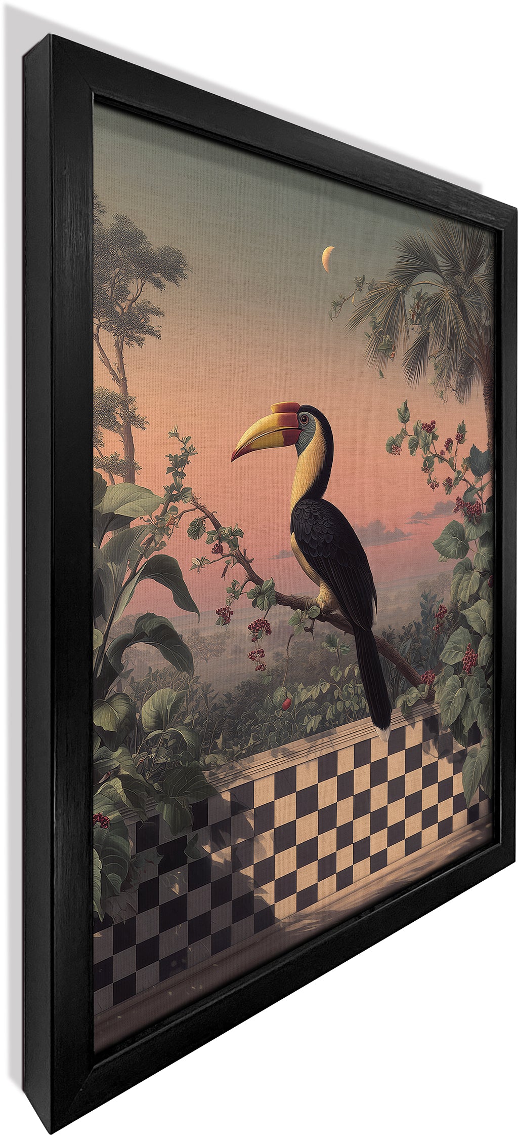 Hornbill in Stillness