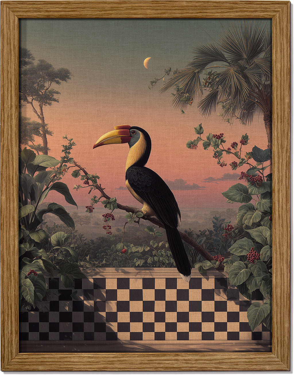 Hornbill in Stillness