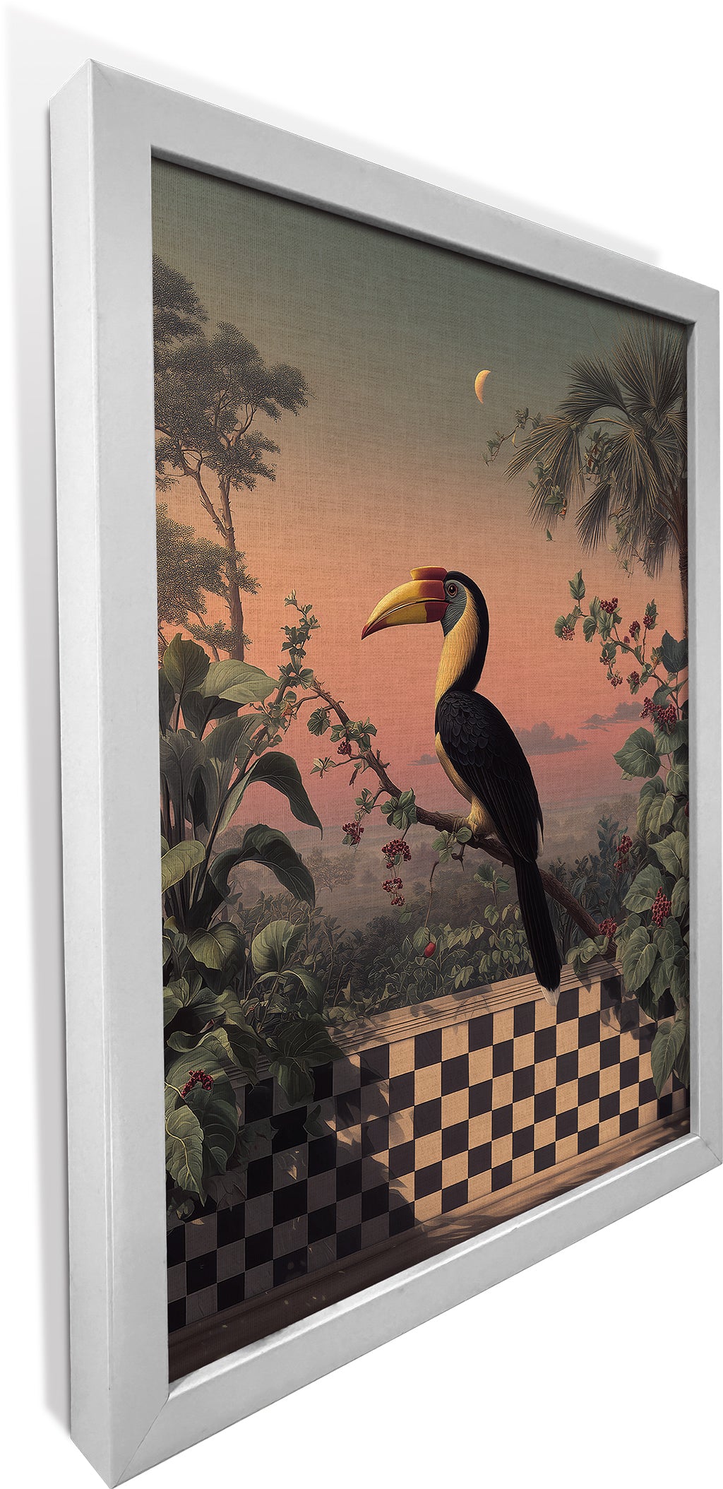 Hornbill in Stillness