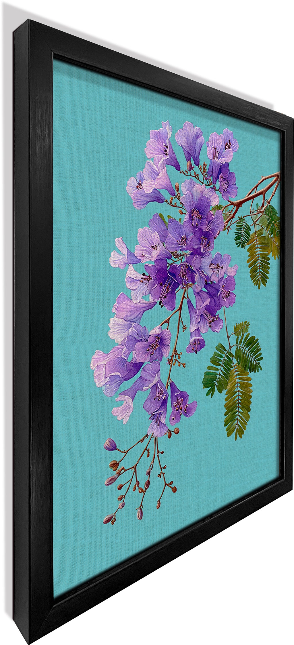 Jacaranda on Cyan