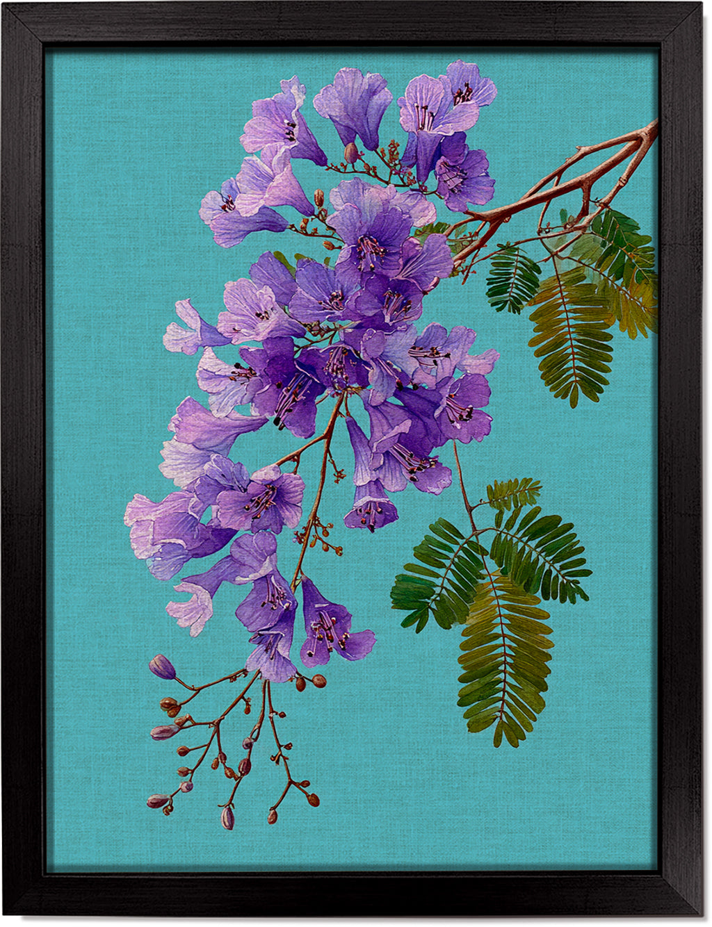 Jacaranda on Cyan