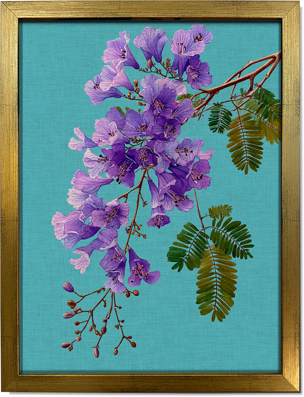 Jacaranda on Cyan