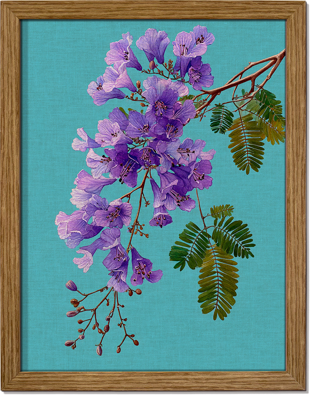 Jacaranda on Cyan