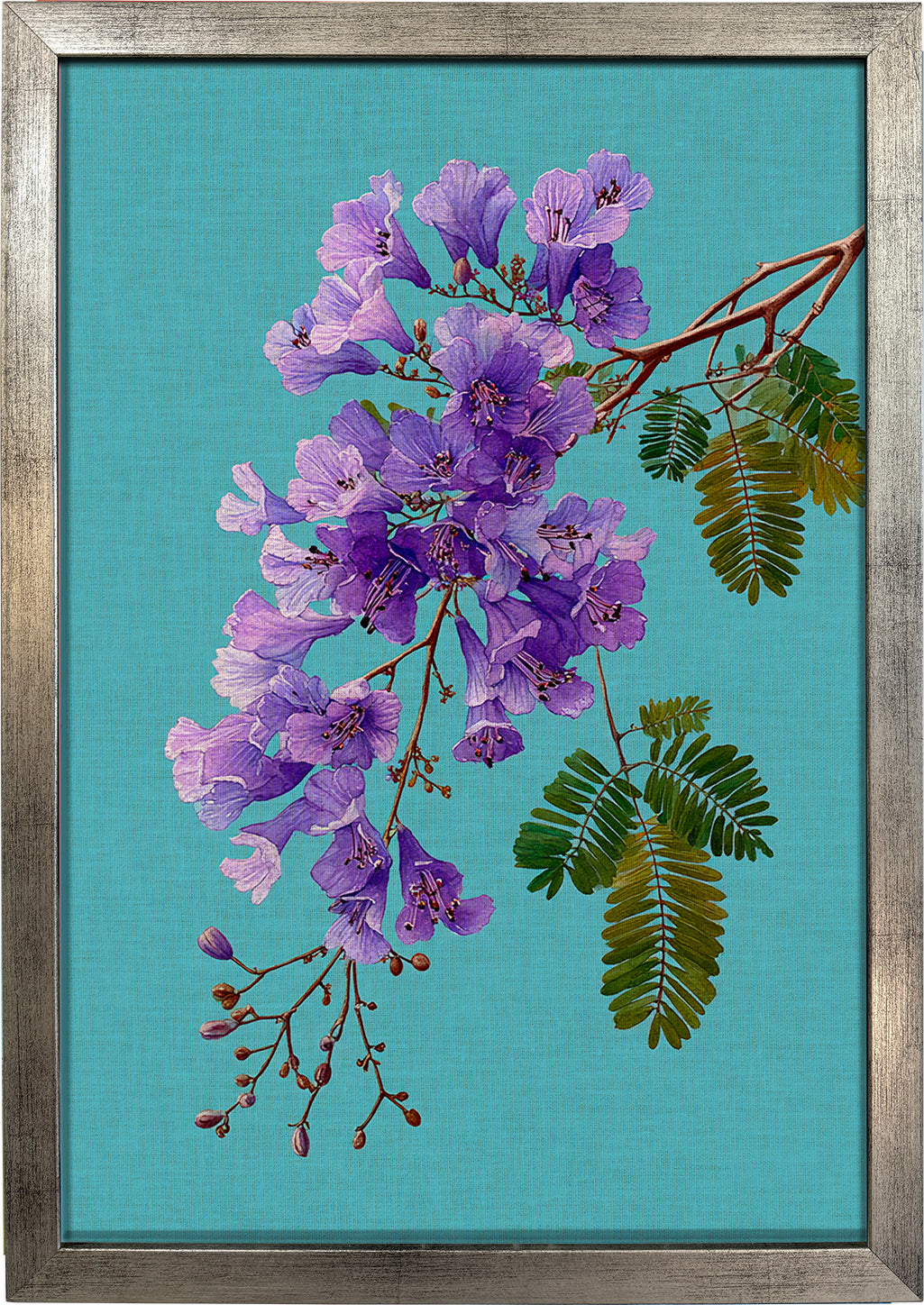 Jacaranda on Cyan