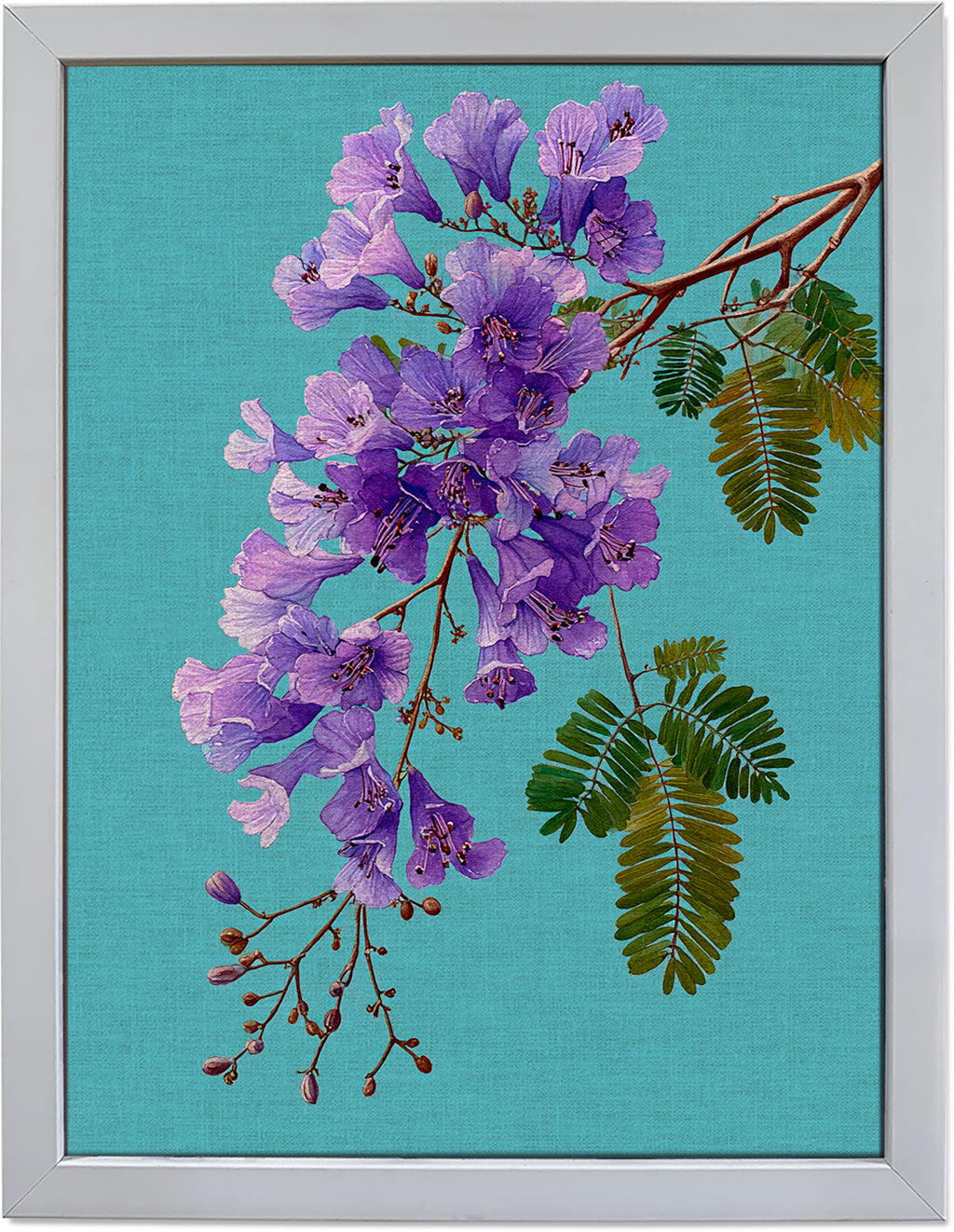 Jacaranda on Cyan