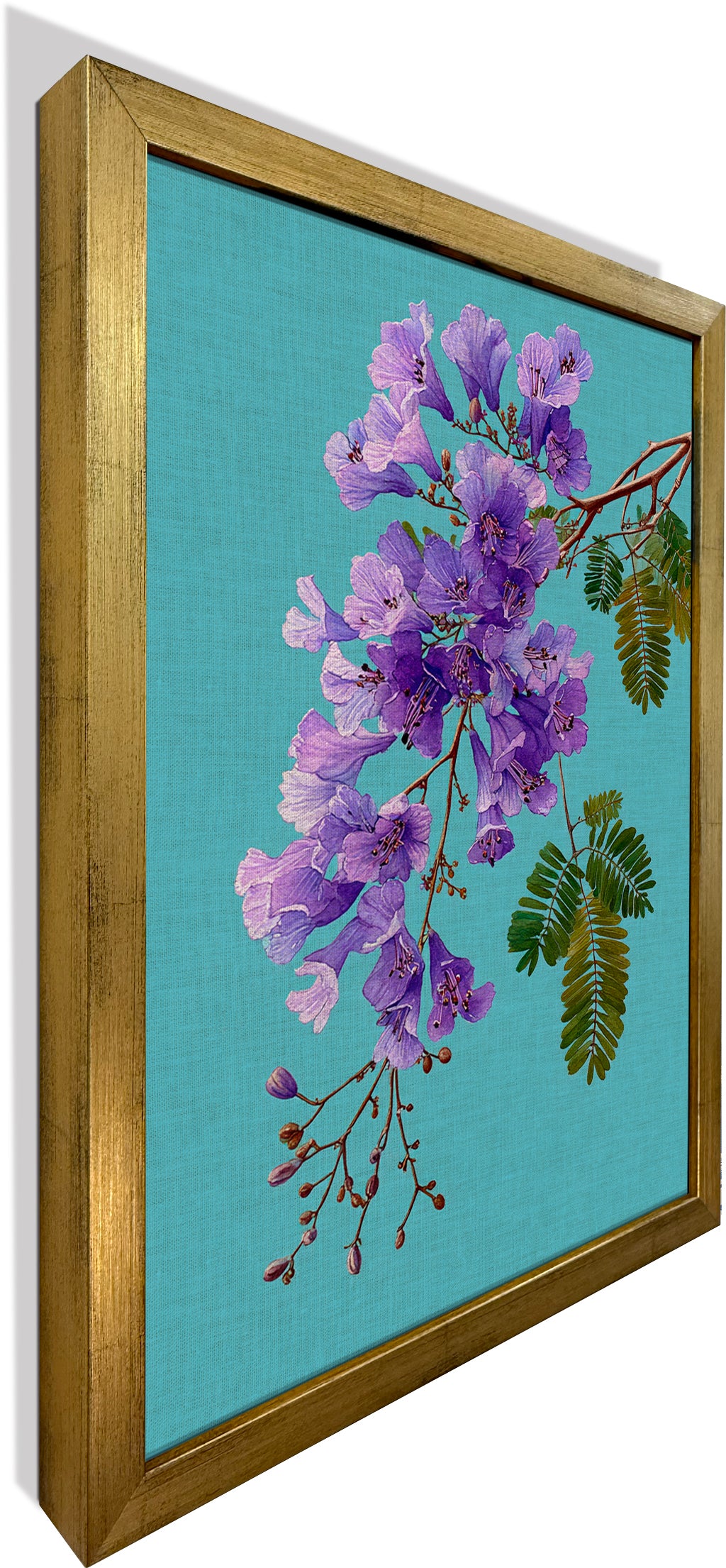 Jacaranda on Cyan