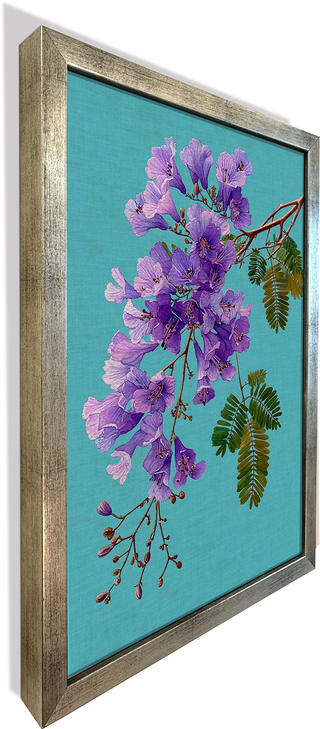 Jacaranda on Cyan