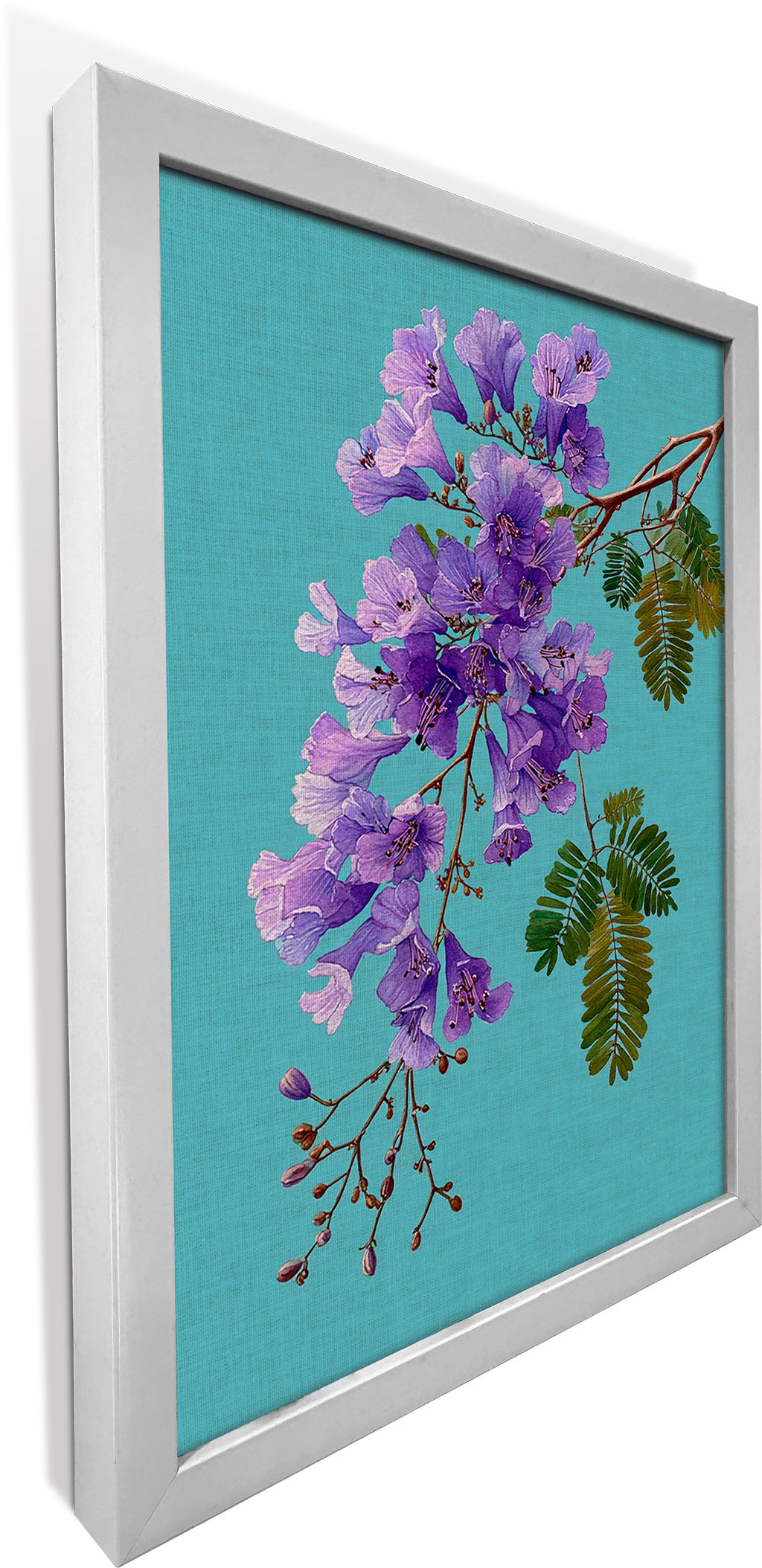 Jacaranda on Cyan