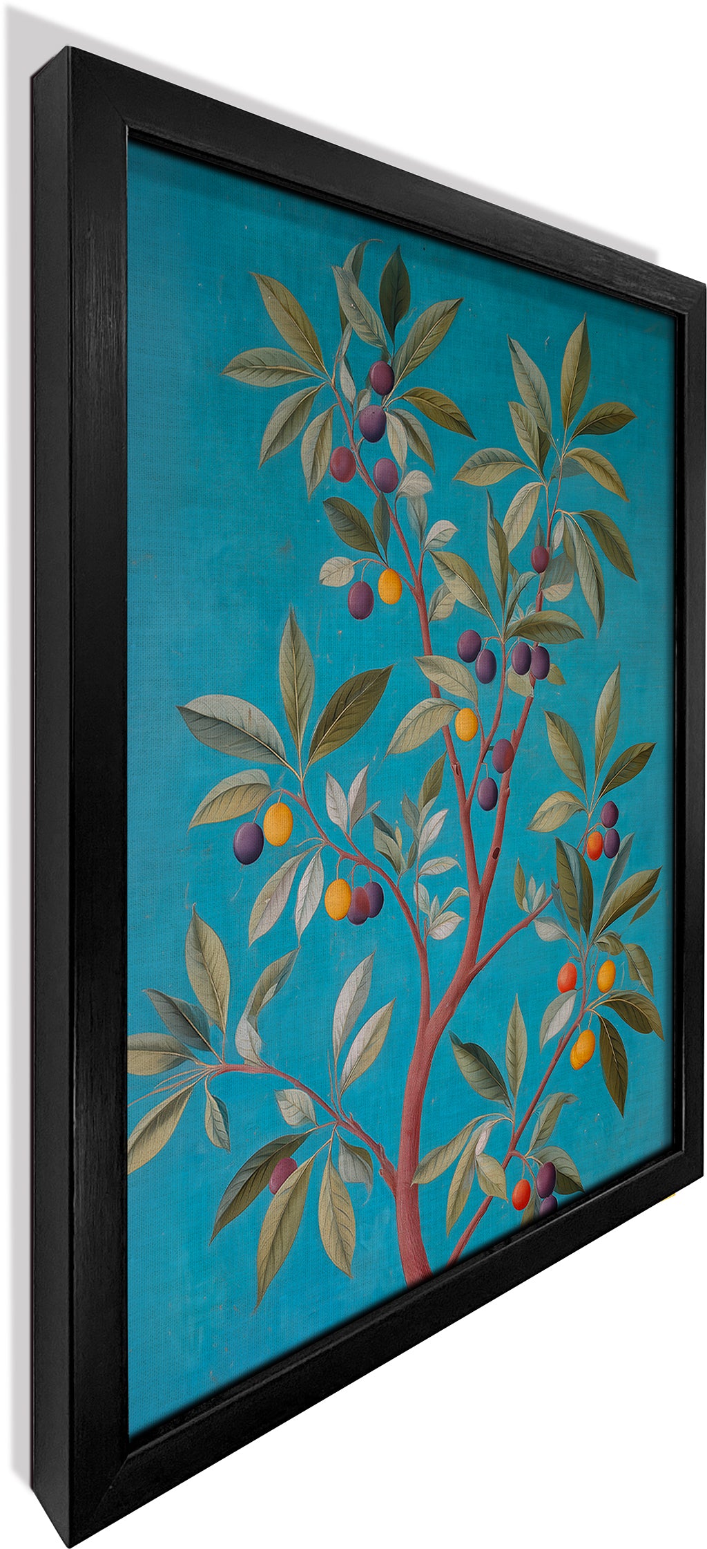 Jamun Tree
