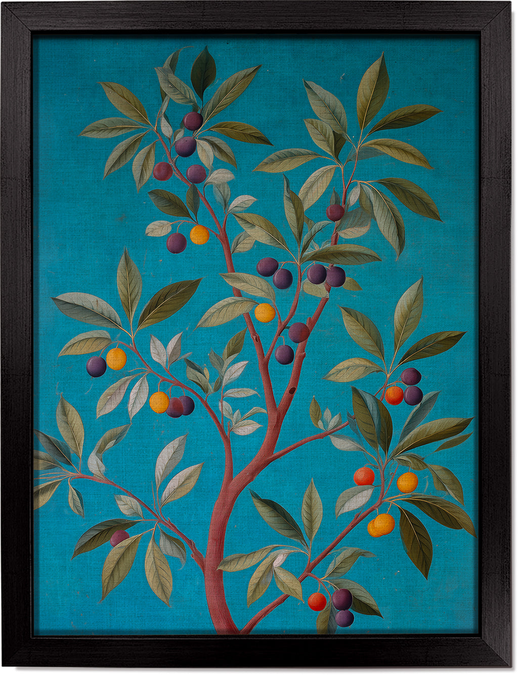 Jamun Tree