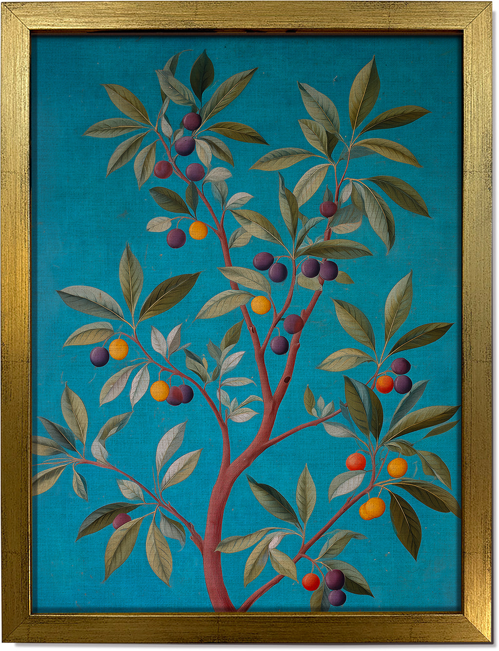 Jamun Tree