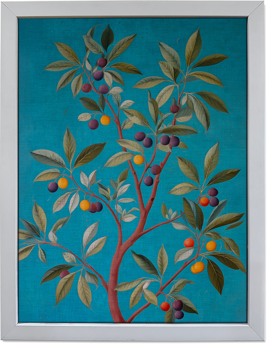 Jamun Tree