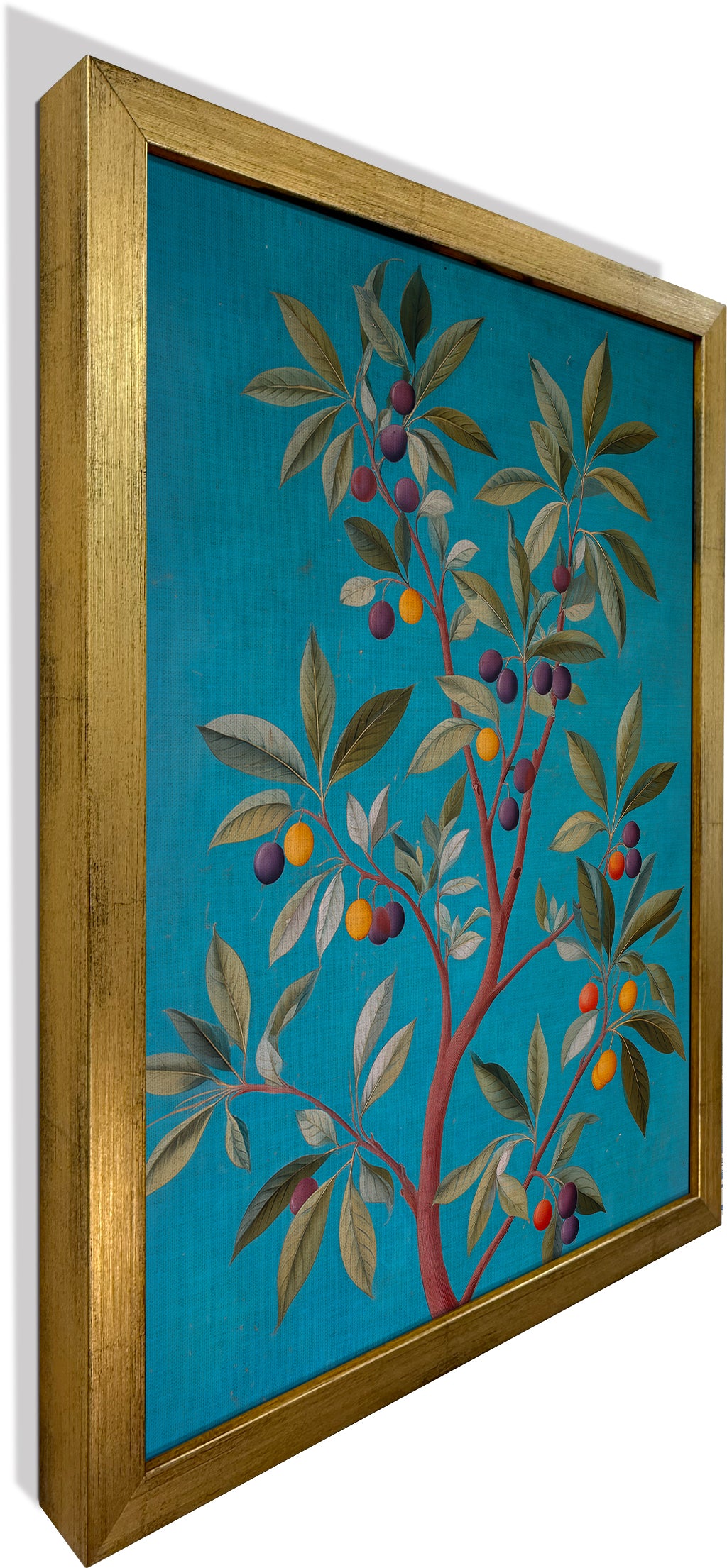 Jamun Tree