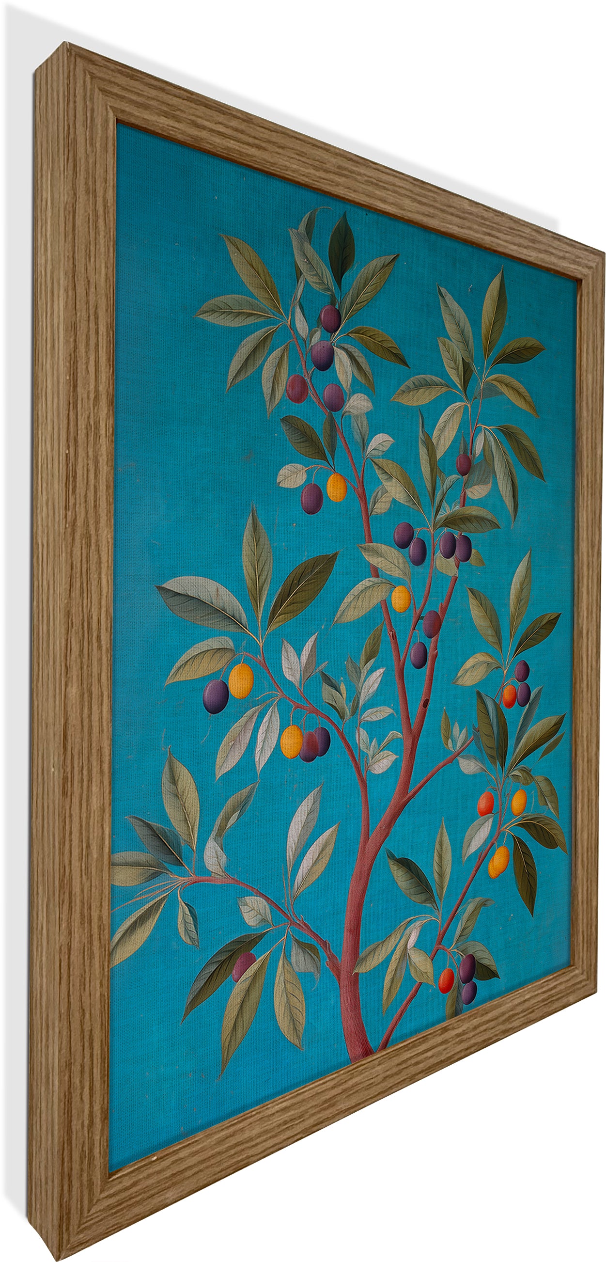 Jamun Tree