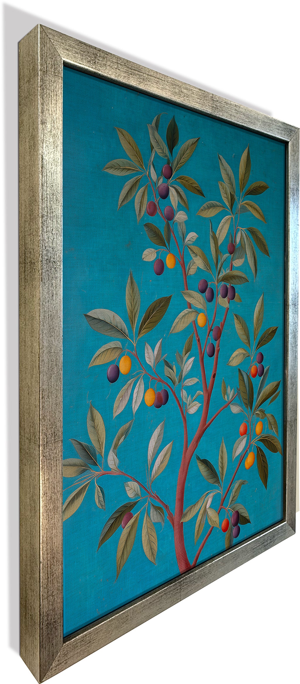 Jamun Tree
