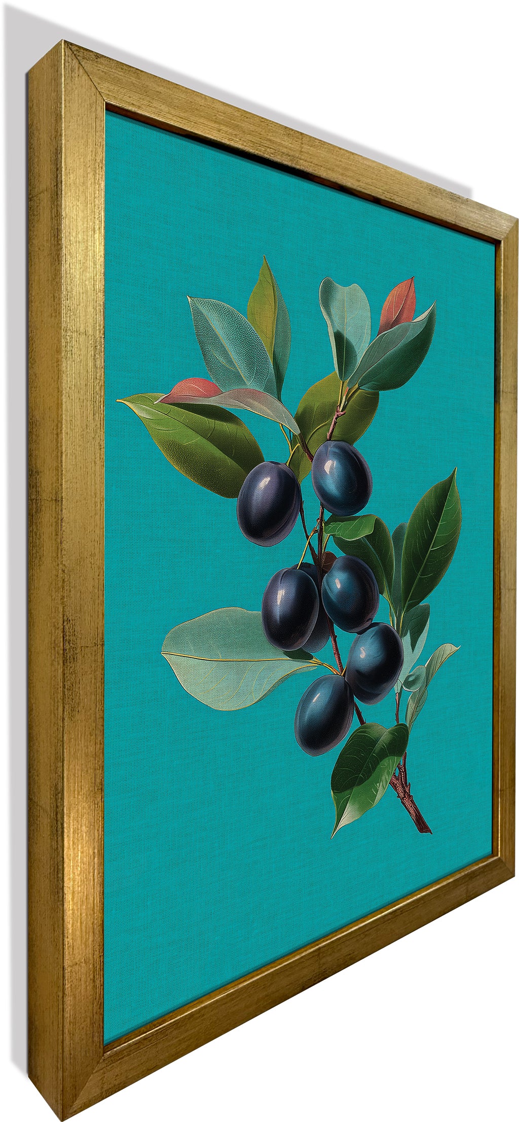 Jamun on Cyan
