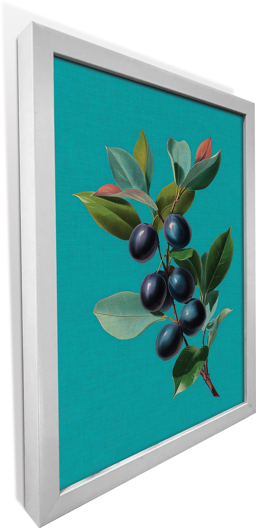 Jamun on Cyan