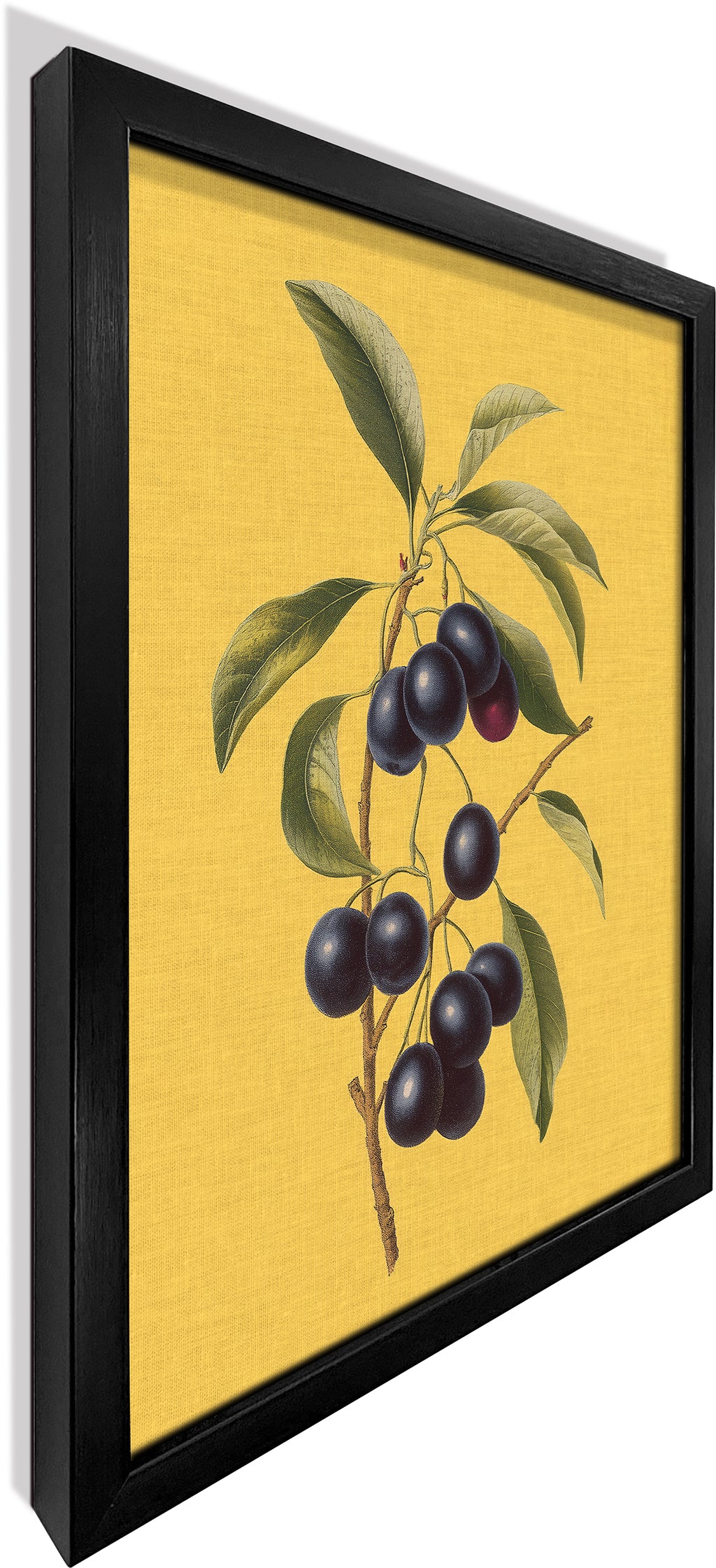 Jamun on Yellow