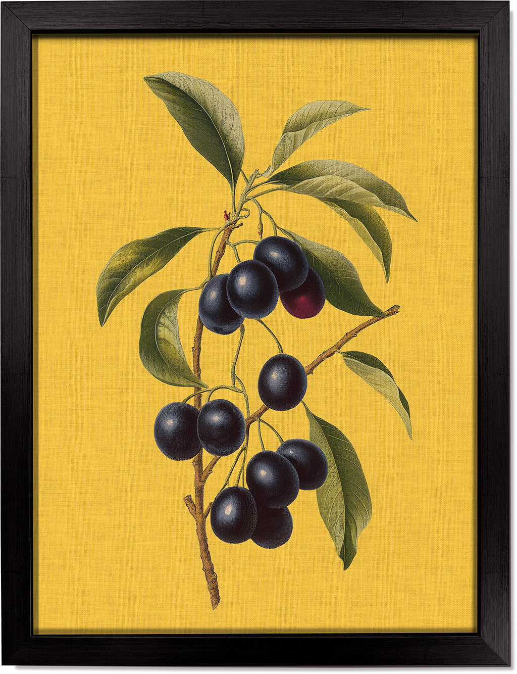 Jamun on Yellow