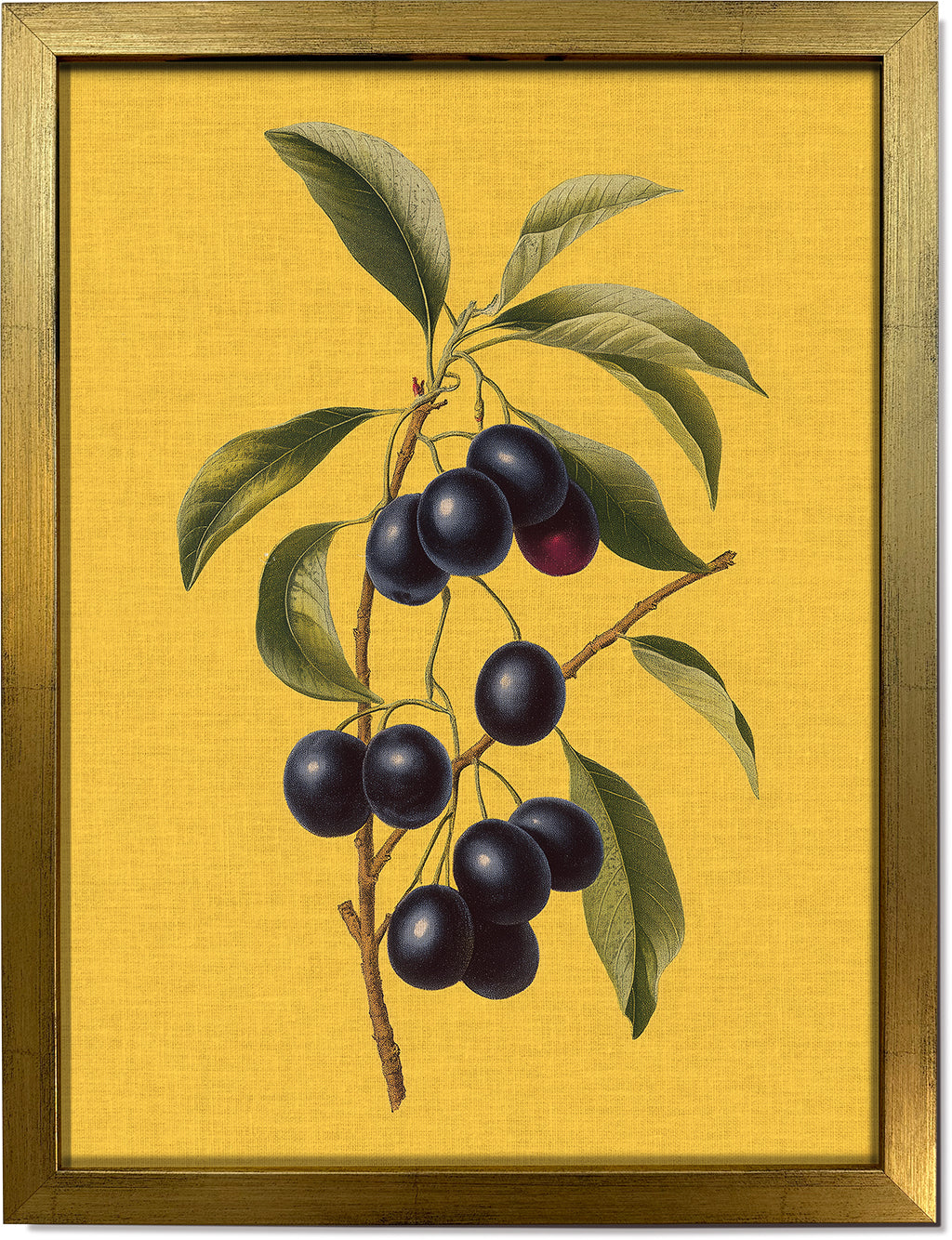 Jamun on Yellow