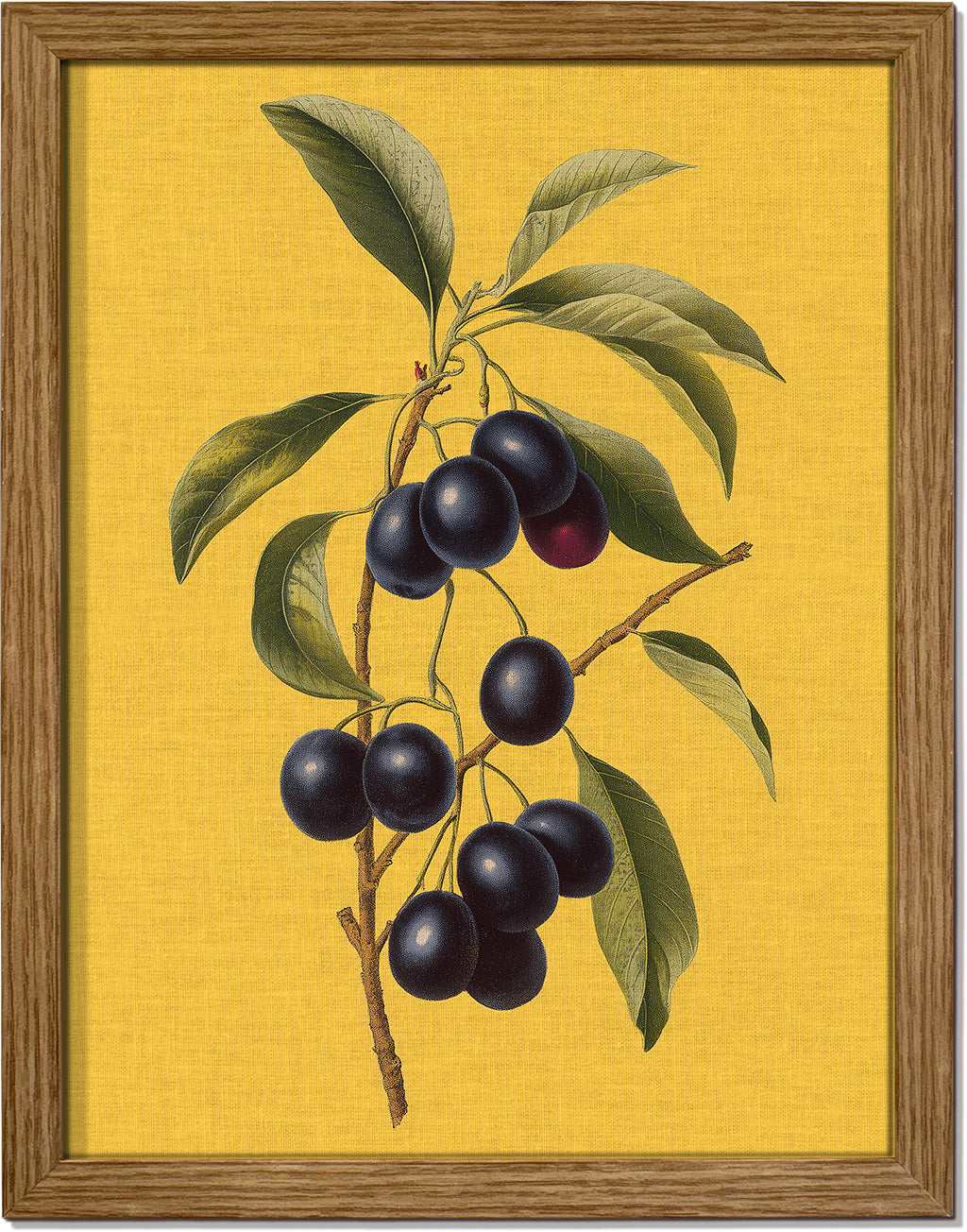 Jamun on Yellow