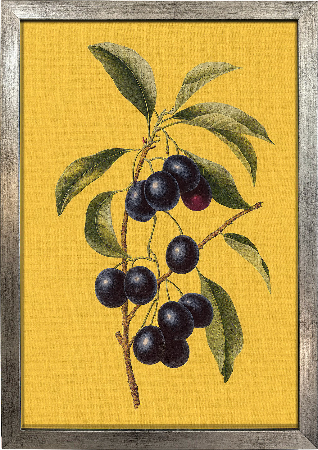 Jamun on Yellow
