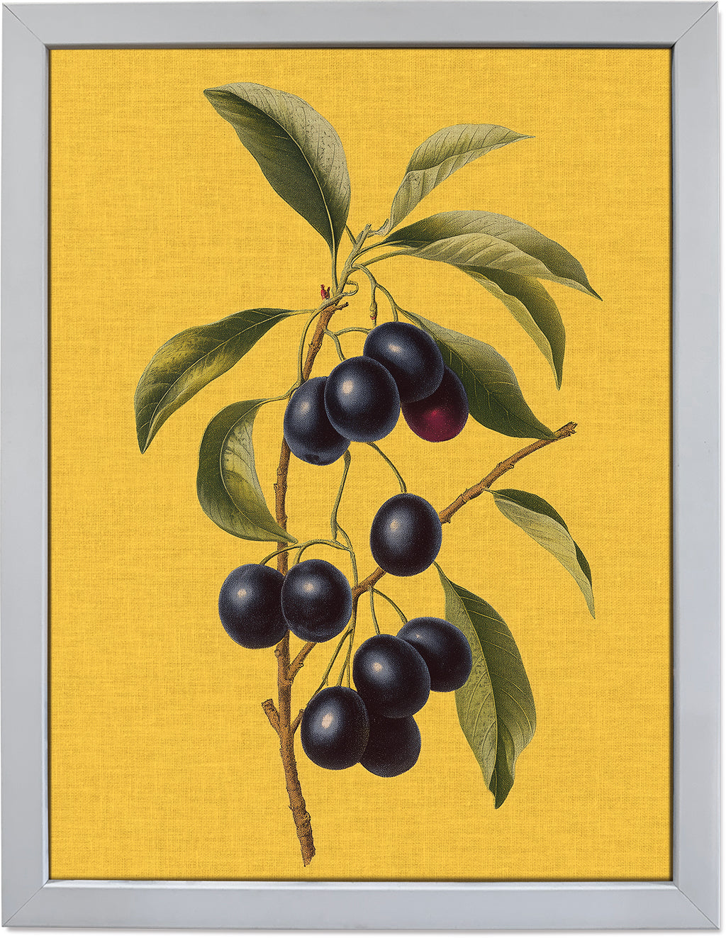 Jamun on Yellow