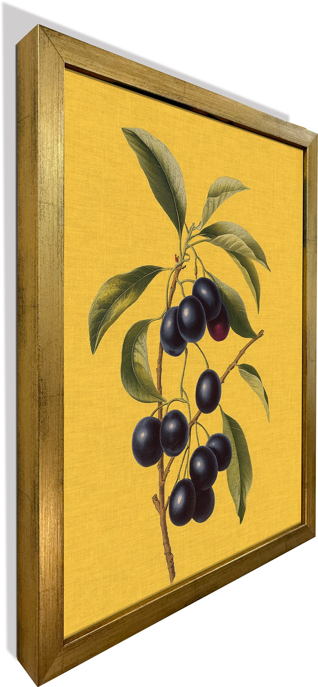 Jamun on Yellow