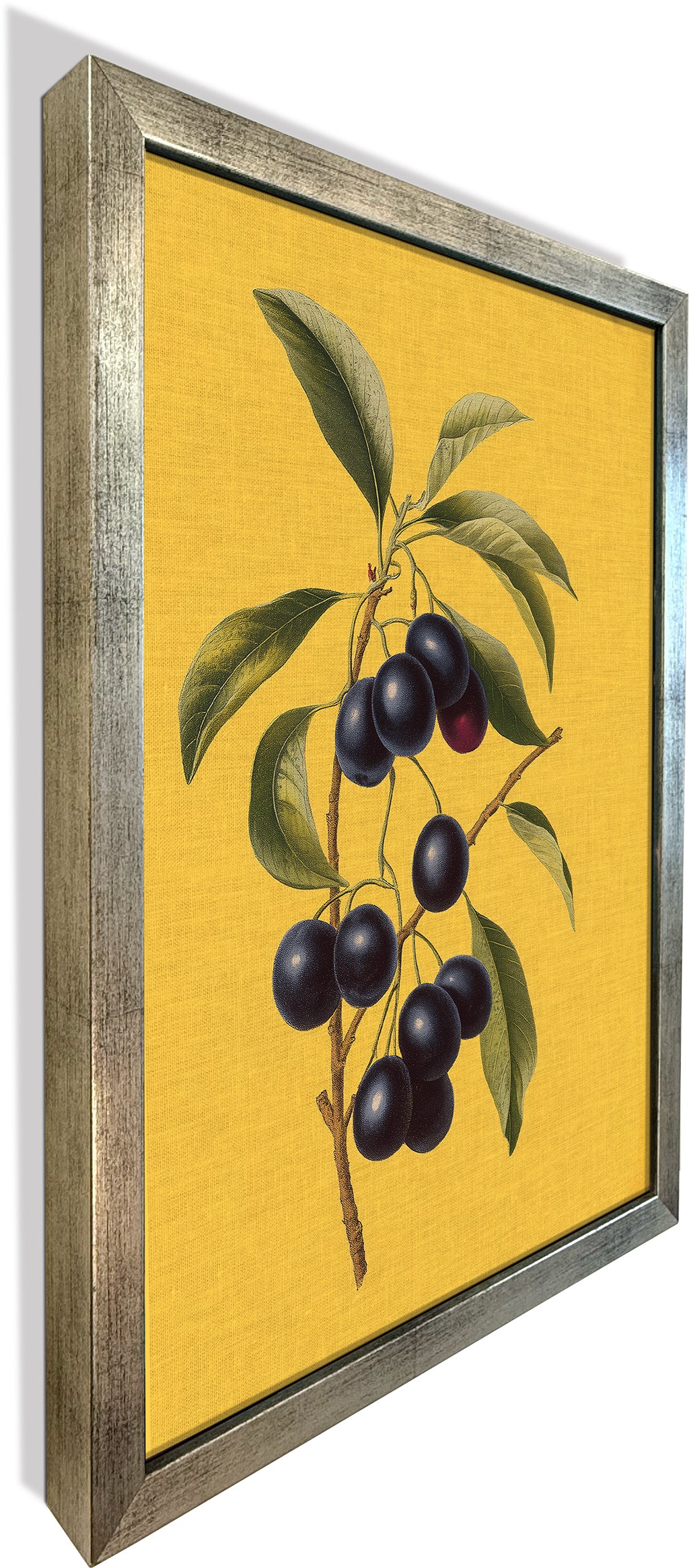 Jamun on Yellow