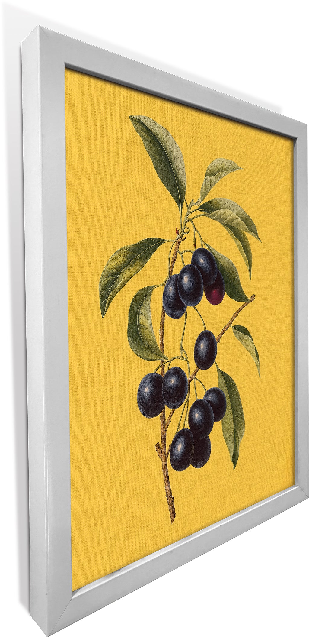 Jamun on Yellow