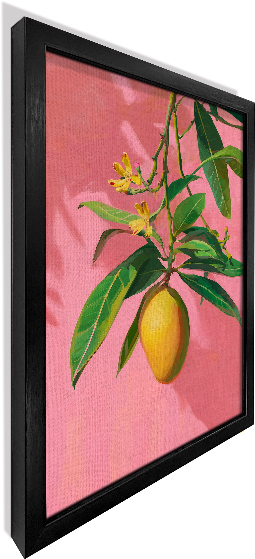 Mango on Jaipur Pink