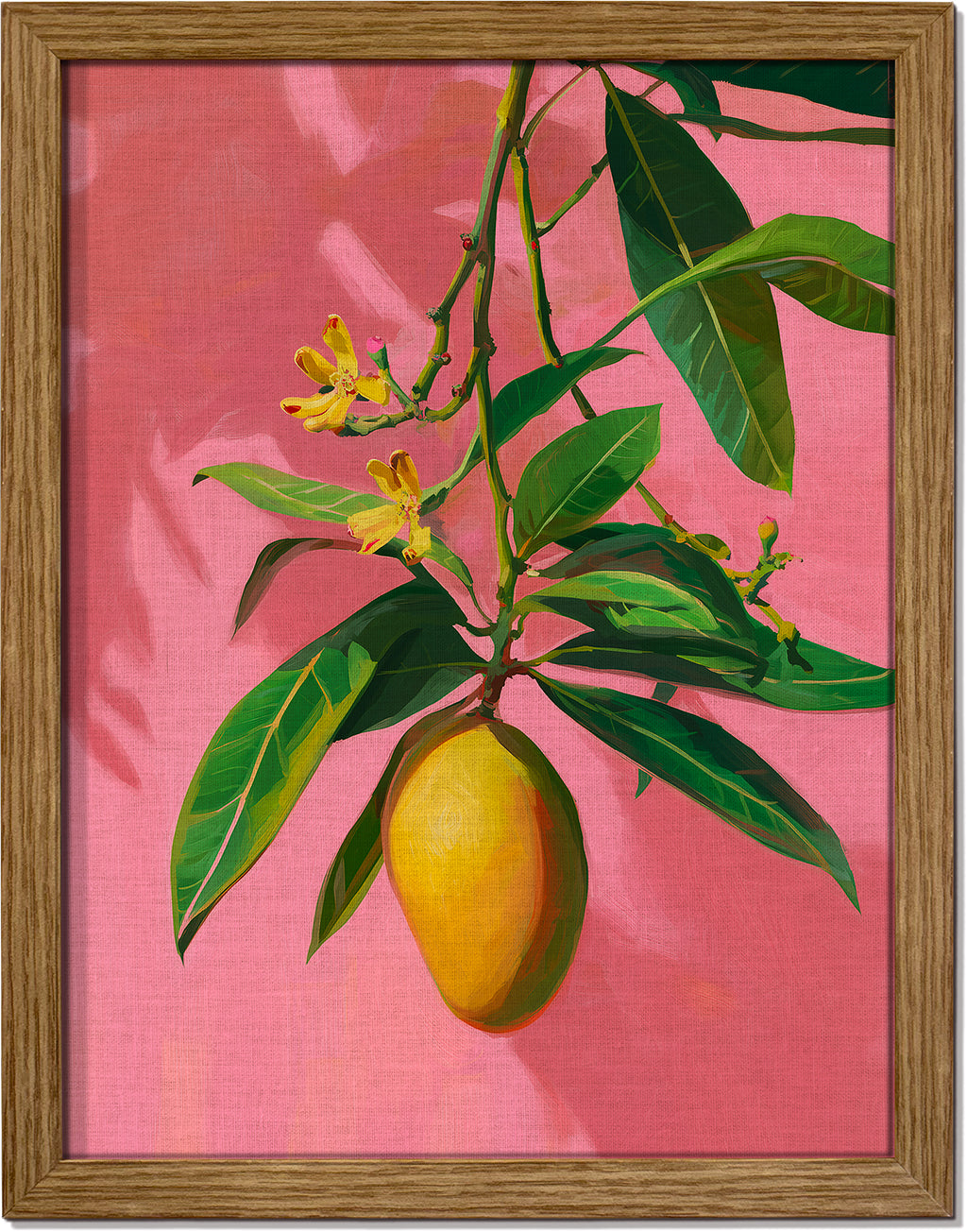 Mango on Jaipur Pink
