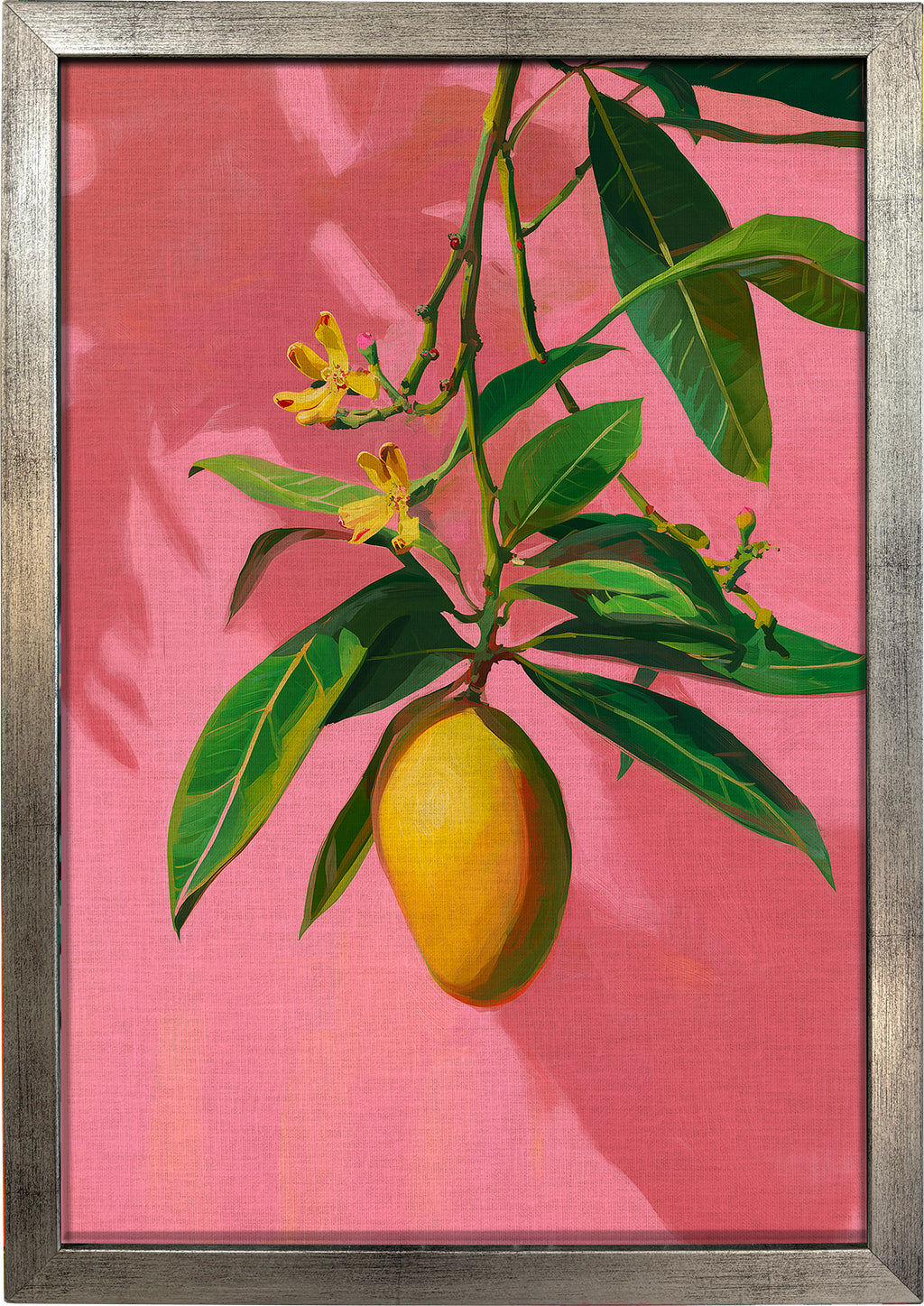 Mango on Jaipur Pink