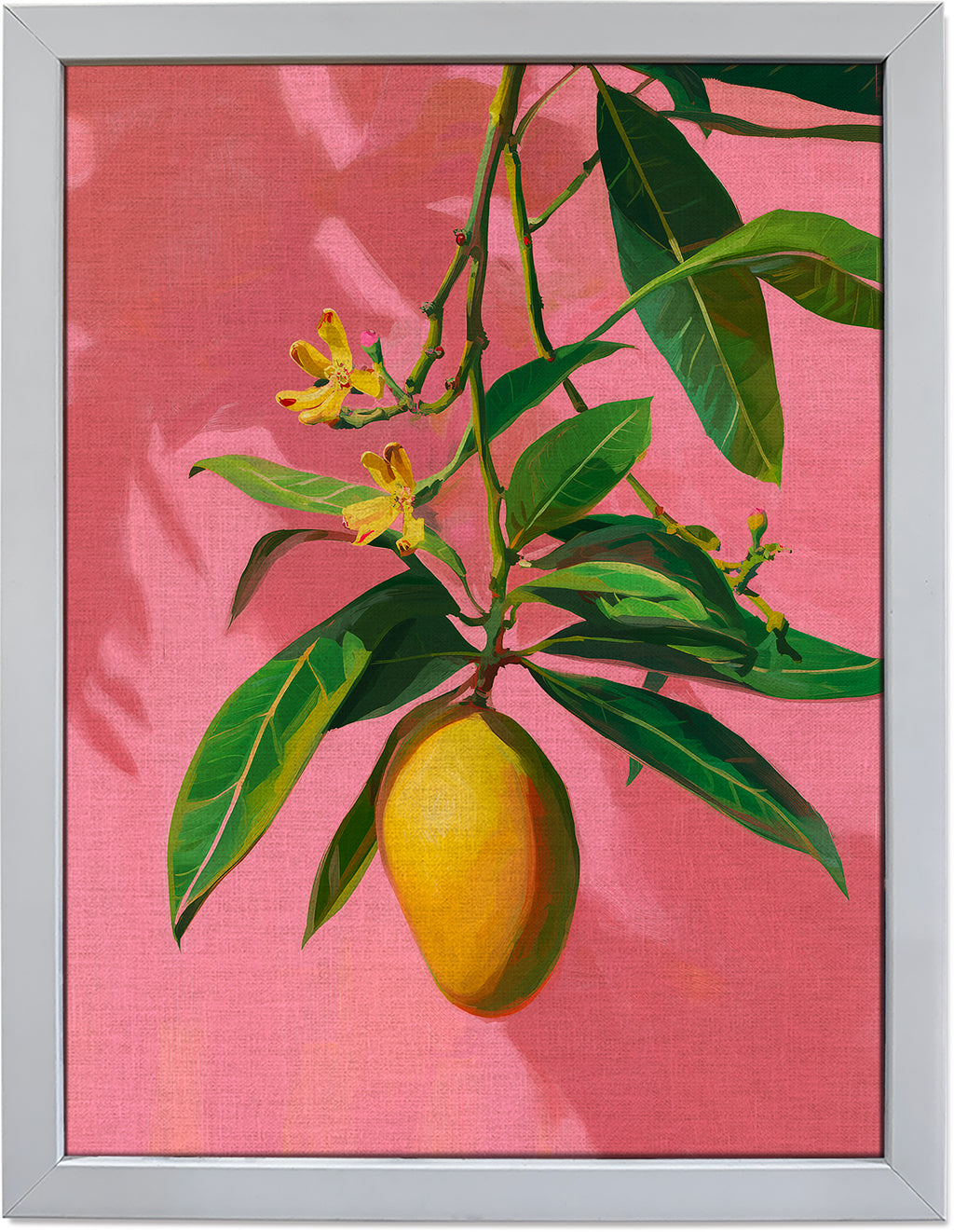 Mango on Jaipur Pink