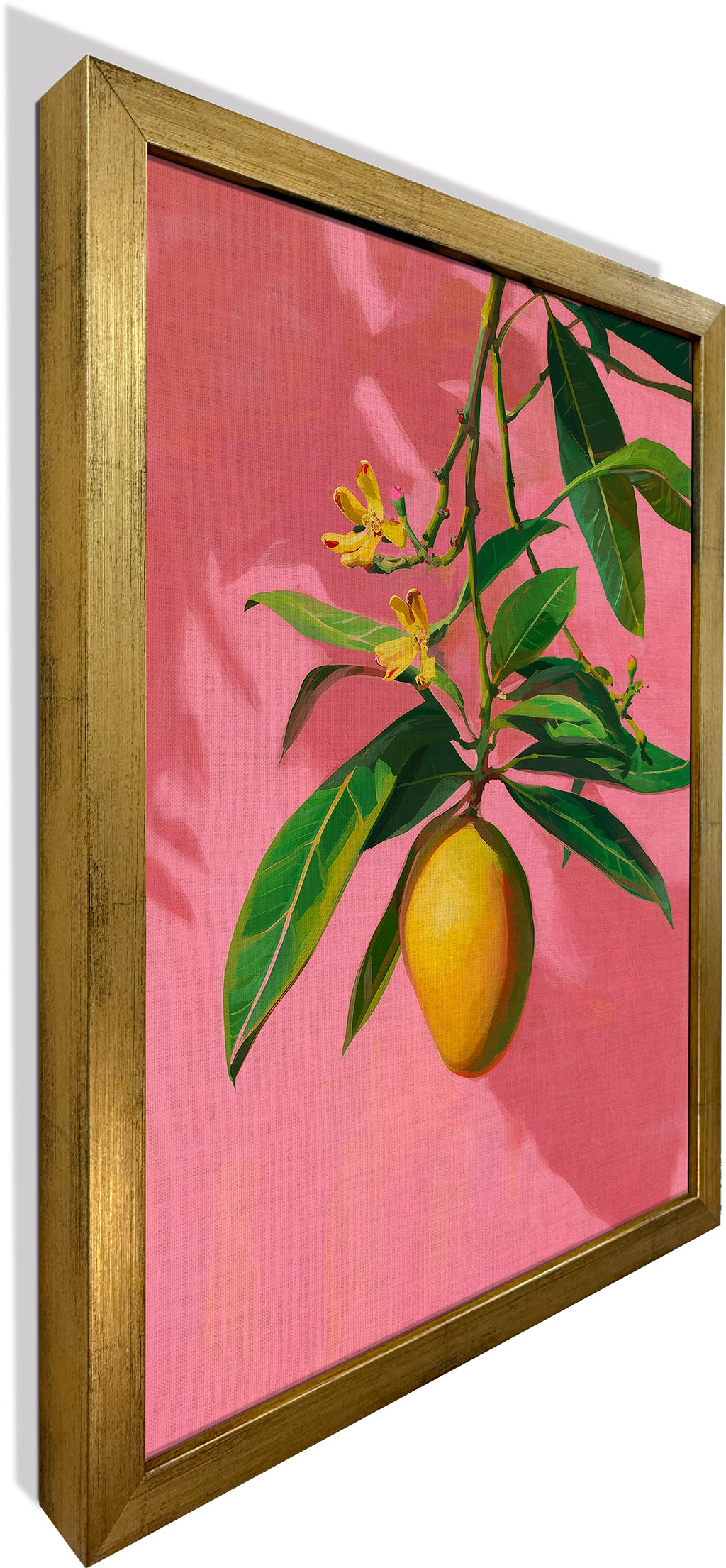 Mango on Jaipur Pink